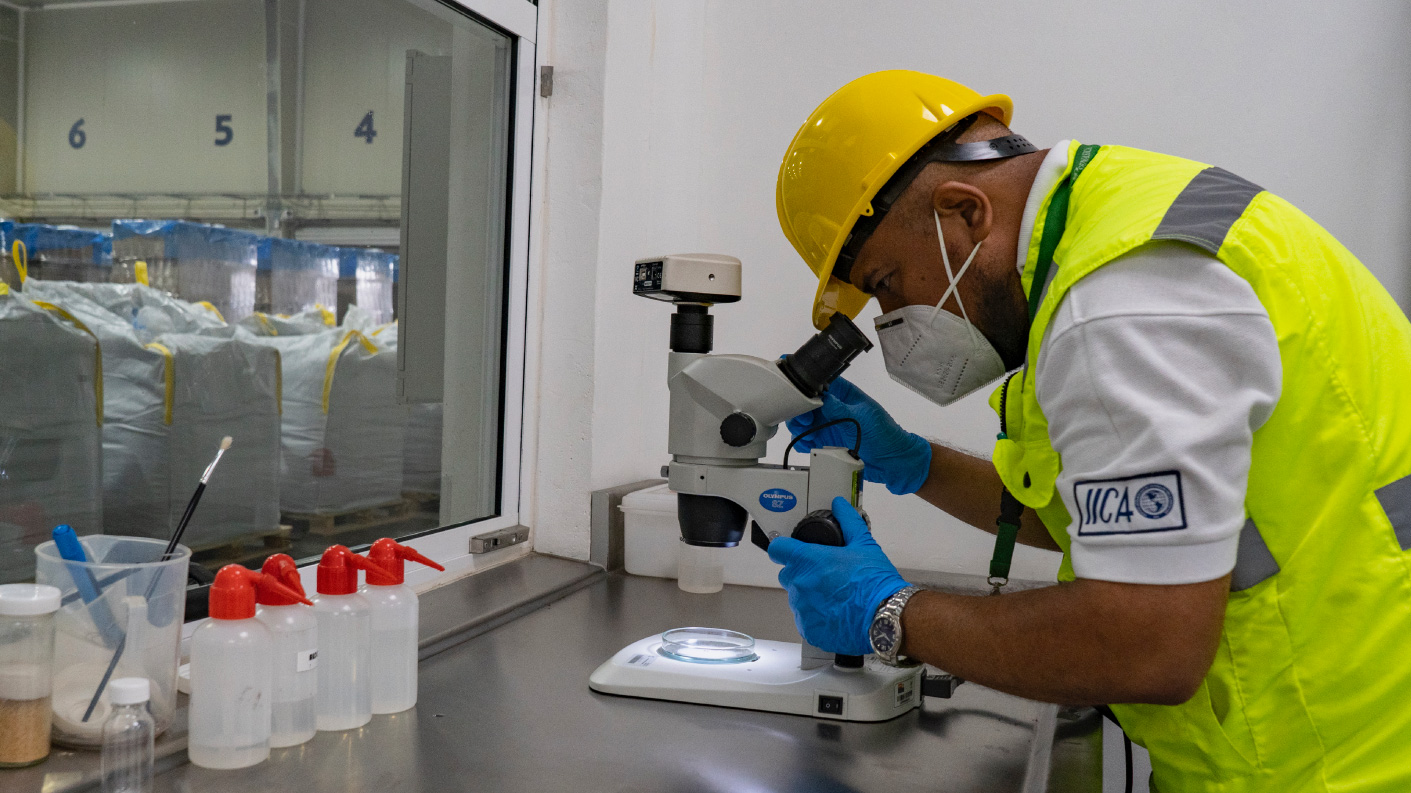 https://hutchison-page.s3.amazonaws.com/img/newsroom/MILLON-FINALL-timsa---copia.jpg?AWSAccessKeyId=AKIARO4BKZBKATES7MOD&Signature=JtrlfyTAiHuYknvfmnG4trxi4xo%3D&Expires=1786557162